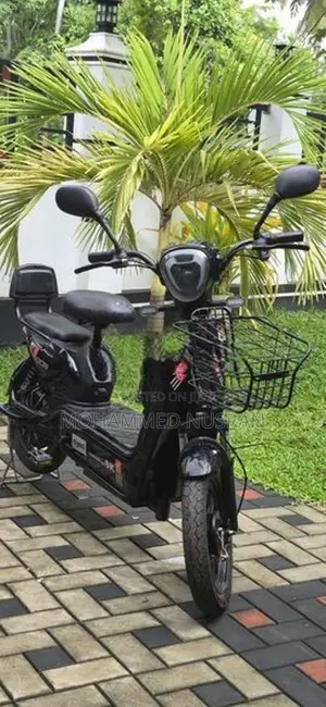 Electric Bike 2025