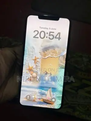 Apple iPhone XS Max (Used)