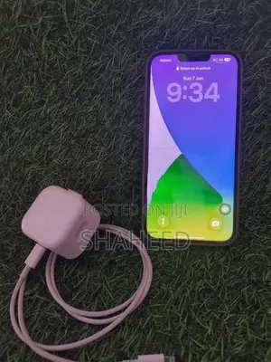 Apple iPhone 13 Pro Max (Used)
