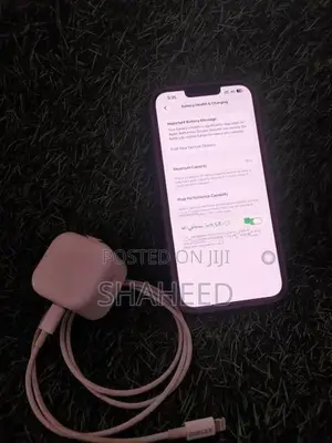 Apple iPhone 13 Pro Max (Used)