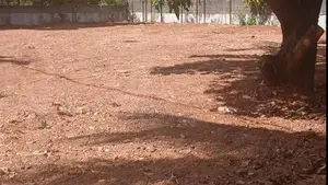 Commercial Land For Sale in Trincomalee Town