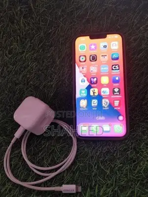 Apple iPhone 13 Pro Max (Used)