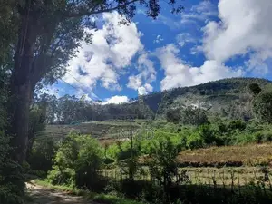 Guest House Near Horton Plains