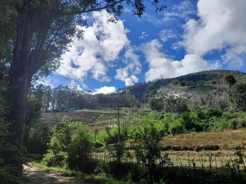 Guest House Near Horton Plains
