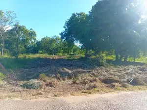 අනුරාධපුරයෙන් ඉඩමක්