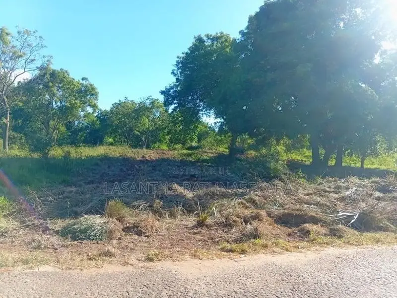 අනුරාධපුරයෙන් ඉඩමක්