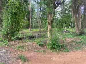 Land for Sale - Makullagahawaththa