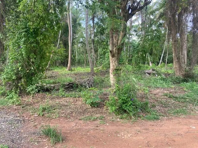 Land for Sale - Makullagahawaththa