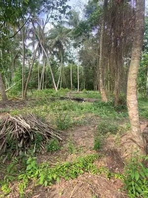 Land for Sale - Makullagahawaththa