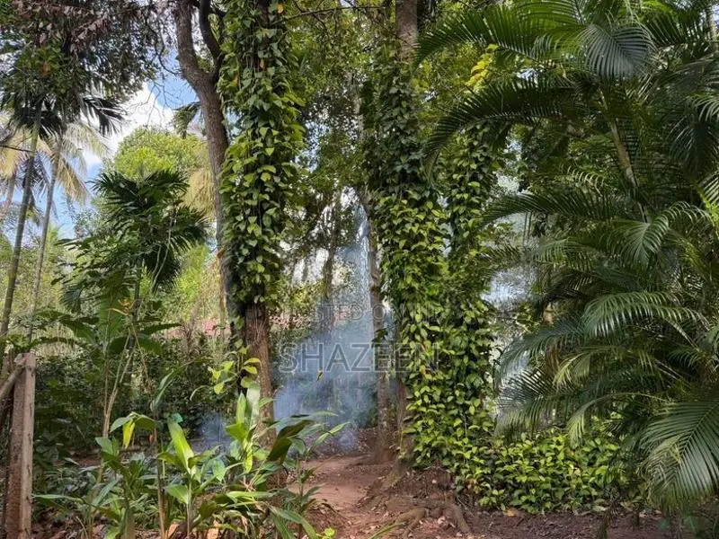 Land for Sale Matale