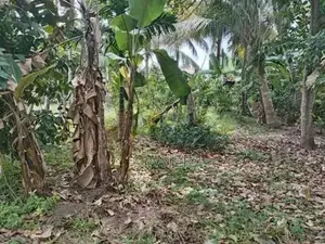 Land For Sale In Malabe Thalahena