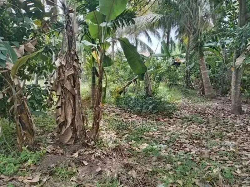 Land For Sale In Malabe Thalahena
