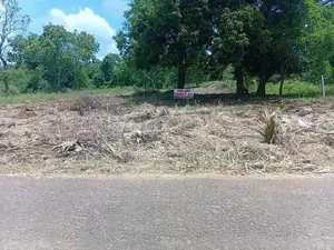 අනුරාධපුරයෙන් ඉඩමක්