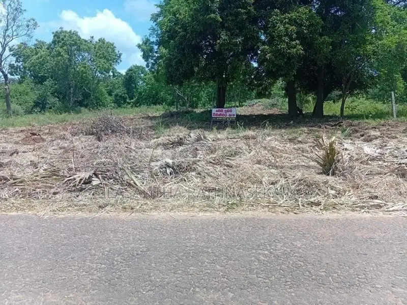අනුරාධපුරයෙන් ඉඩමක්