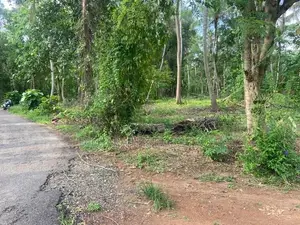 Land for Sale - Makullagahawaththa