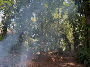 Land for Sale Matale