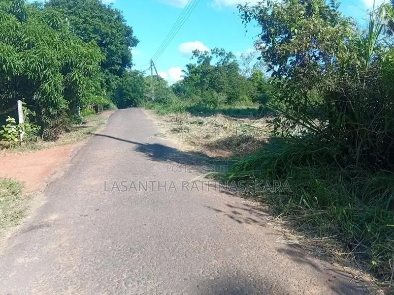 අනුරාධපුරයෙන් ඉඩමක්