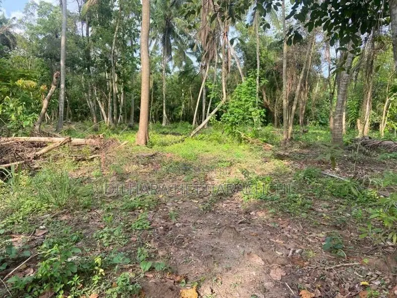 Land for Sale - Makullagahawaththa