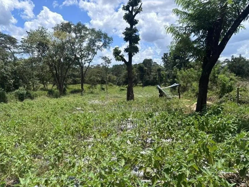 අගනා කෘෂිකාර්මික ඉඩම් විකිණීමට - මහියංගන