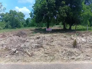 අනුරාධපුරයෙන් ඉඩමක්