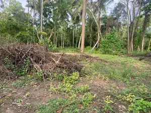 Land for Sale - Makullagahawaththa