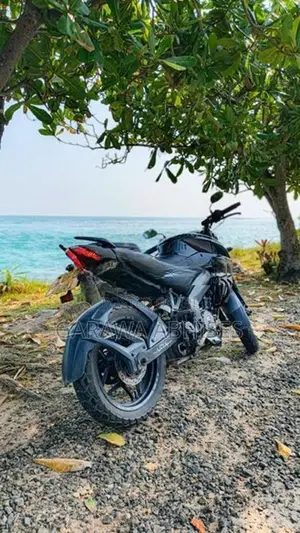 Bajaj Pulsar NS200 BS4 2018