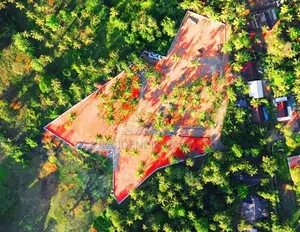 Developed Land for Sale in Malsiripura M04