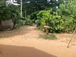 Land for Sale Monaragala