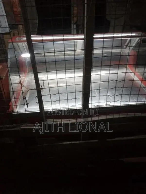 Meat Display Freezer