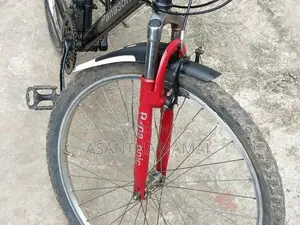 Panasonic Japan Bicycle