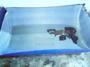 Fish Tank
