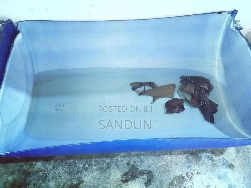 Fish Tank