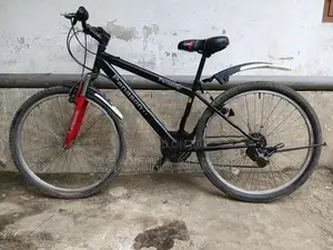 Panasonic Japan Bicycle