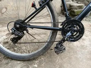 Panasonic Japan Bicycle