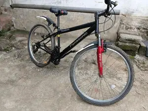 Panasonic Japan Bicycle