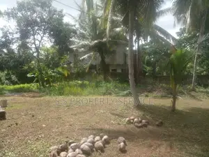 20 Perches Land For Sale in Kalagedihena (SSPL-436)