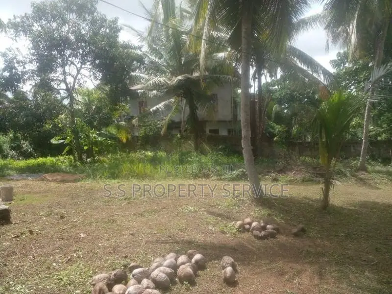 20 Perches Land For Sale in Kalagedihena (SSPL-436)