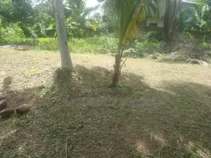 20 Perches Land For Sale in Kalagedihena (SSPL-436)