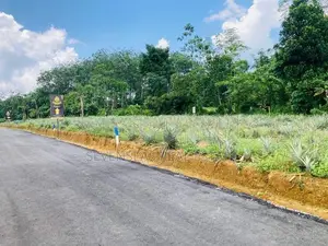 Commercial Land in Eheliyagoda