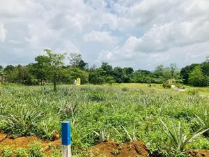ඇහැලියගොඩින් ඉඩමම