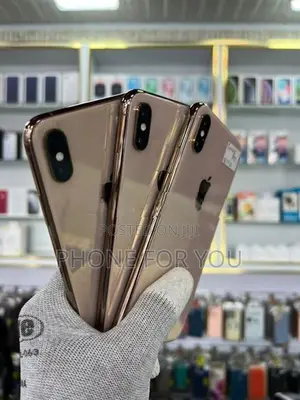 Apple iPhone XS Max (Used)