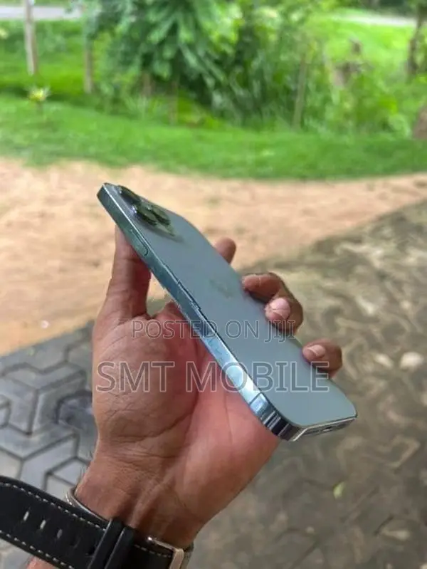 Apple iPhone 13 Pro Max (Used)