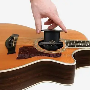 Guitar Humidifier
