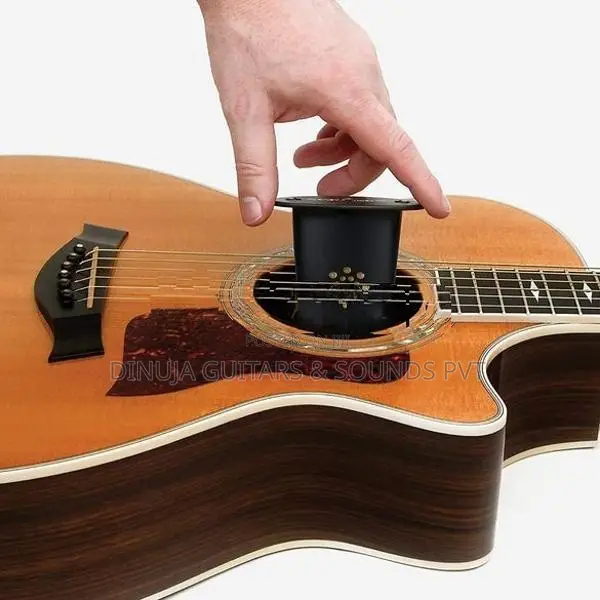 Guitar Humidifier