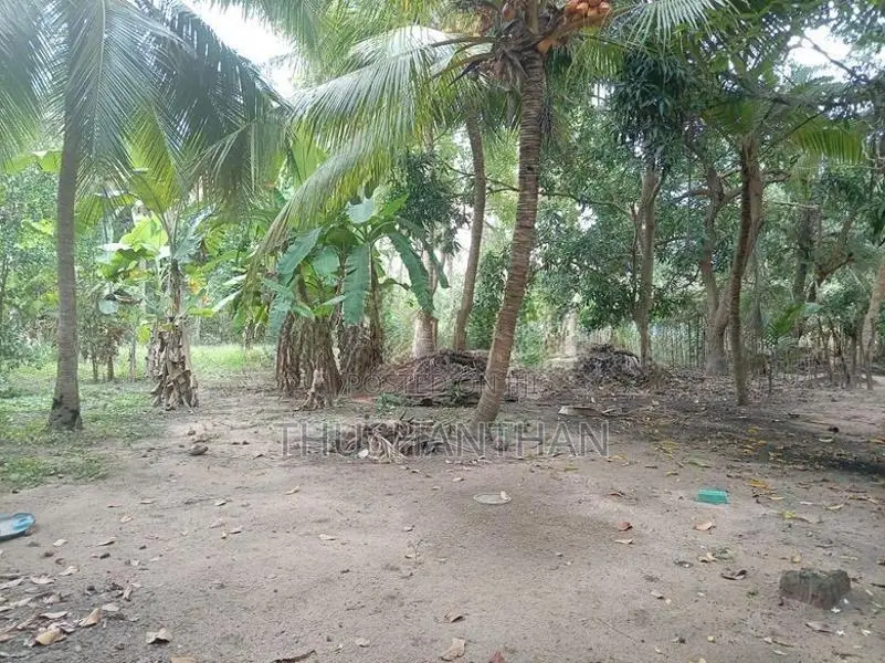 Land for Sale Kilinochchi