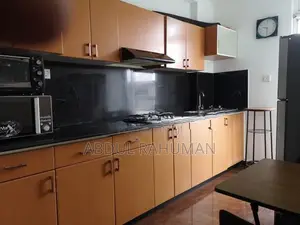 Luxurious Fully Furnished Apartment Maradana Junction