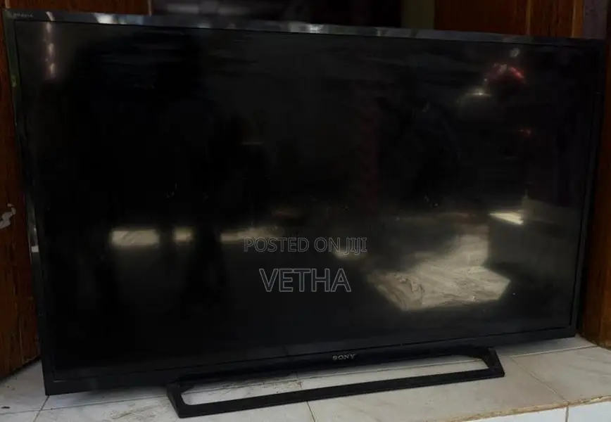 Sony Bravia Monitor