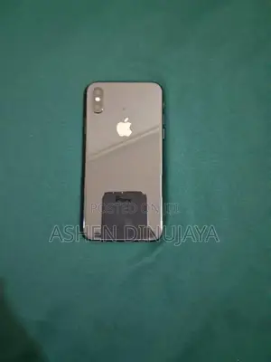 Apple iPhone X 256GB (Used)