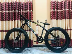 Fat Tyre Mountain Bicycle