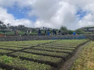 Land For Sale in Nuwara Eliya (SSPL-437)